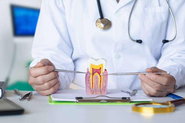 Best Emergency Dental Surgery in Victoria, MS